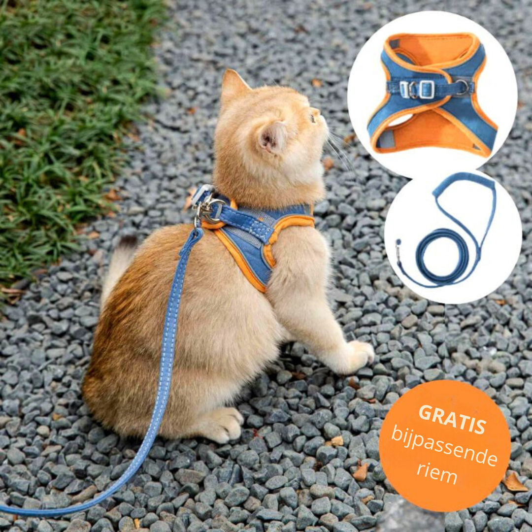 PurrGuard™ Sicheres Katzengeschirr für gemeinsame Abenteuer