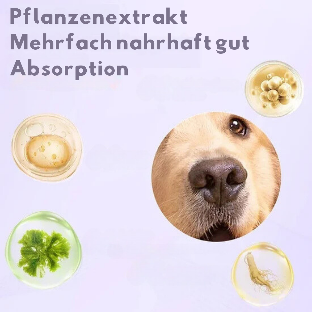 PawGuard™ Pfotenschutz für schmerzfreie Bewegung