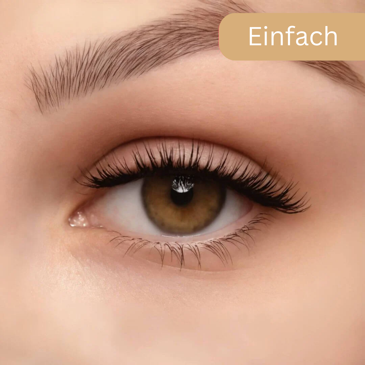 MagneticLash™ Magnetische Wimpern – Kein Kleber, Kein Stress, Perfekter Halt!