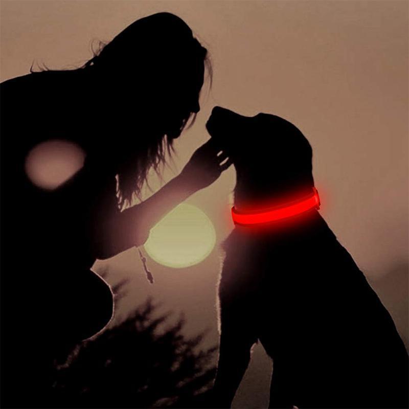 SafeGlow™ Hundehalsband für angstfreie Nachtspaziergänge