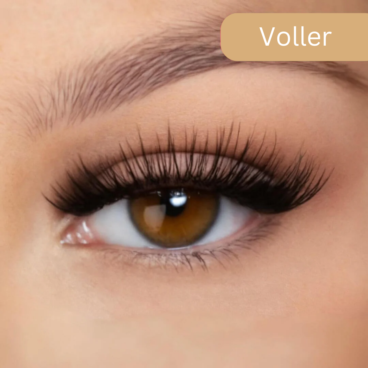 MagneticLash™ Magnetische Wimpern – Kein Kleber, Kein Stress, Perfekter Halt!