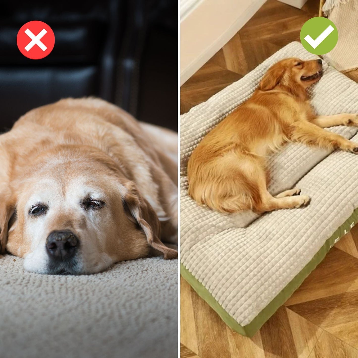 LeLePet™ Comfort Hundebett - Für erholsamen Schlaf und vitale Tage