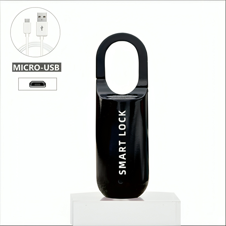 Lock™ - Biometrisches Mini-Vorhängeschloss für maximale Sicherheit