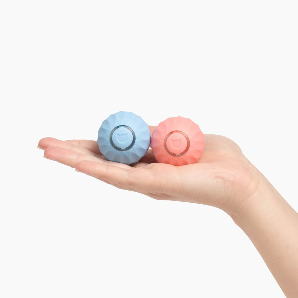 ExoPlay™ - Katzenglück für zuhause