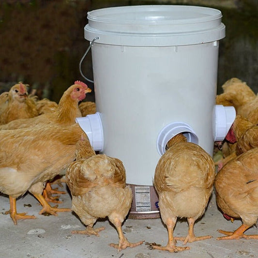 ChickenFeast™ Automatischer Hühnerfutterautomat