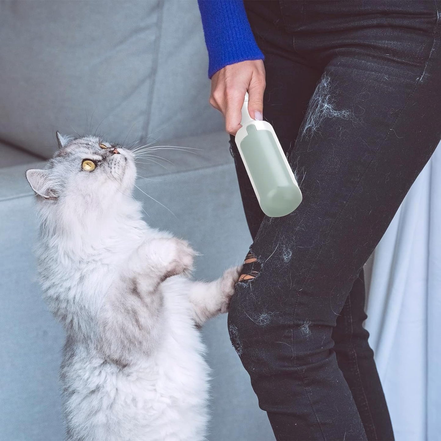 PetClean™ Haarentferner Set – Für ein Tierhaar-freies Zuhause und sorgenfreie Momente