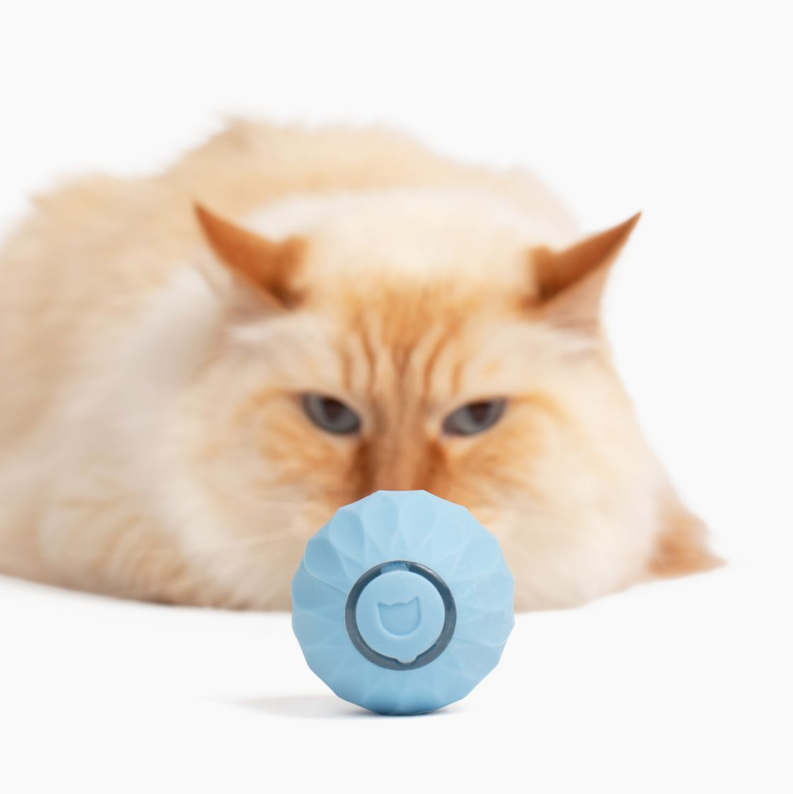 ExoPlay™ - Katzenglück für zuhause