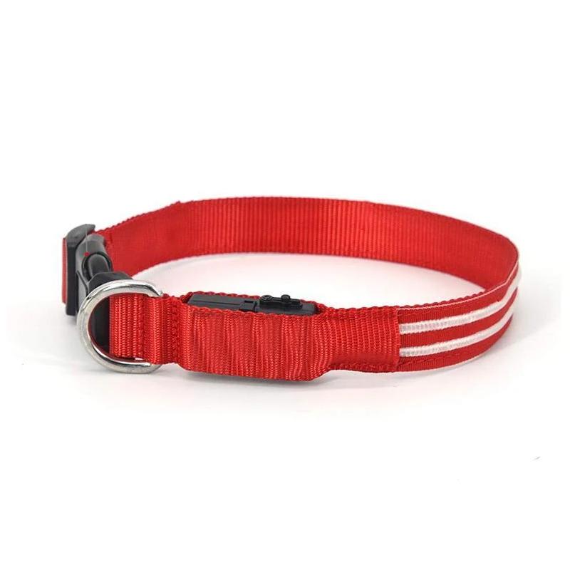 SafeGlow™ Hundehalsband für angstfreie Nachtspaziergänge