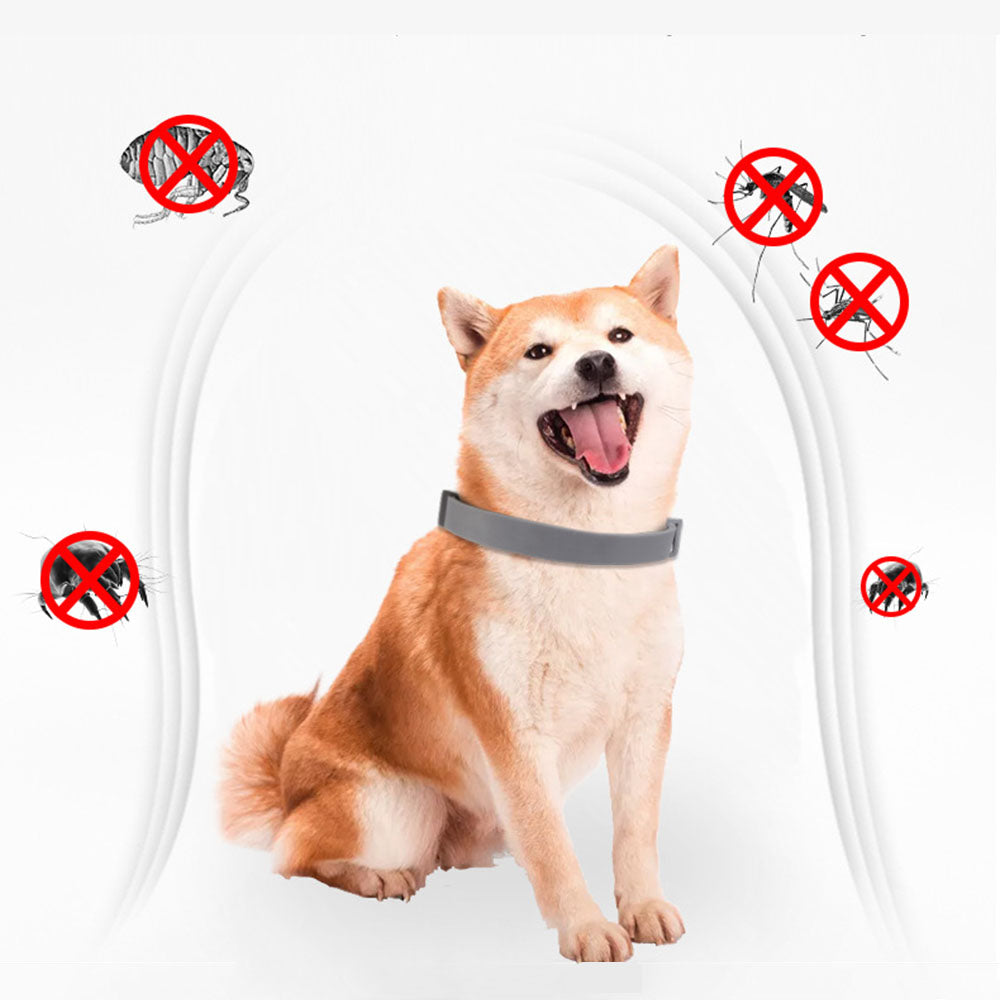 PetGuard™ Zeckenschutz für ein unbeschwertes Zusammenleben