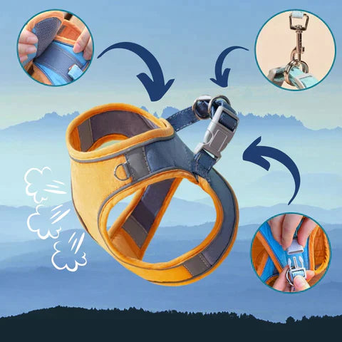 PurrGuard™ Sicheres Katzengeschirr für gemeinsame Abenteuer