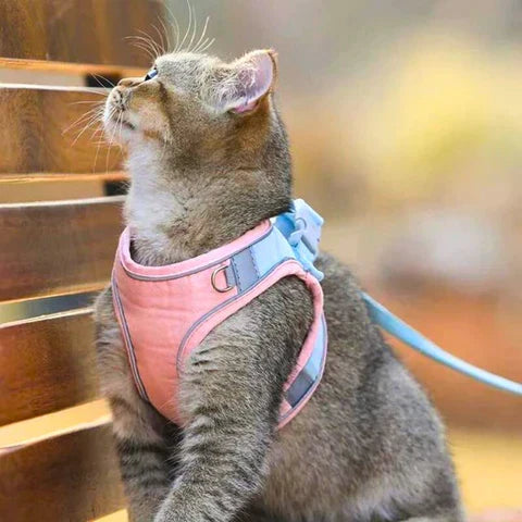 PurrGuard™ Sicheres Katzengeschirr für gemeinsame Abenteuer