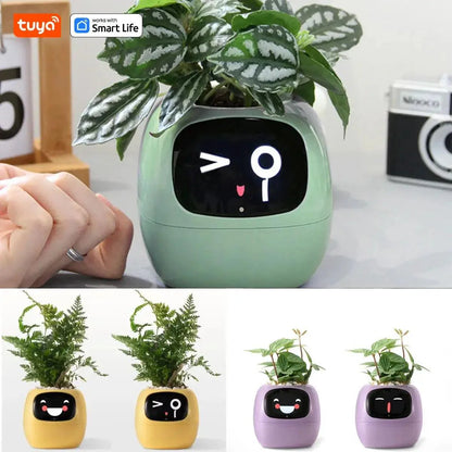 Ivy® | Der smarte Assistent für gesunde und lebendige Pflanzen