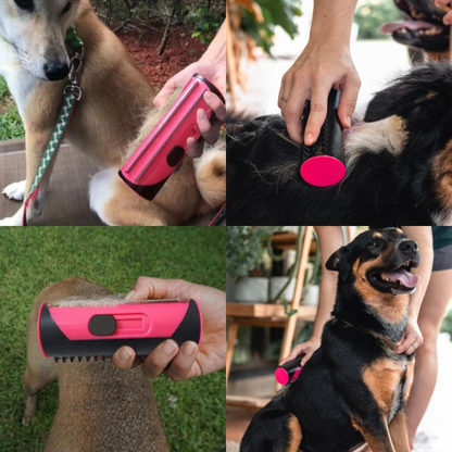 FurSleek™ 2.0 | Erleben Sie ein haarfreies Zuhause und entspannte Fellpflege! 