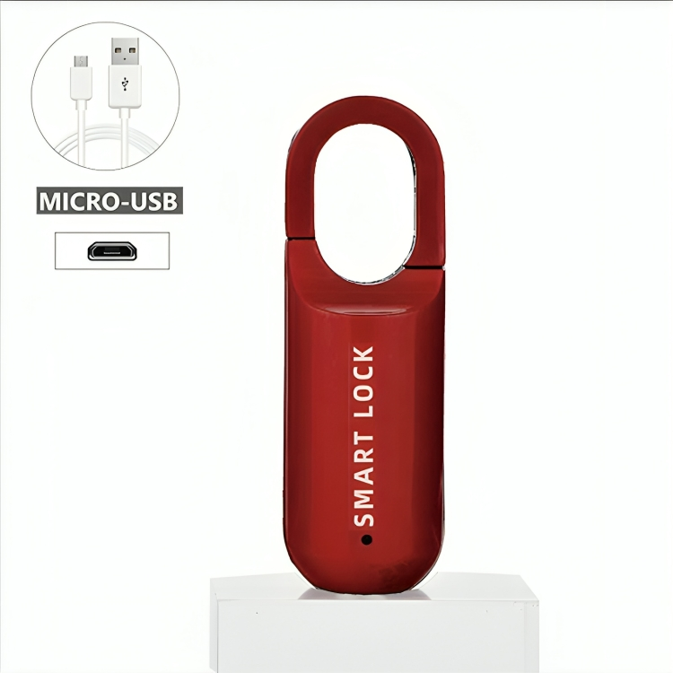Lock™ - Biometrisches Mini-Vorhängeschloss für maximale Sicherheit