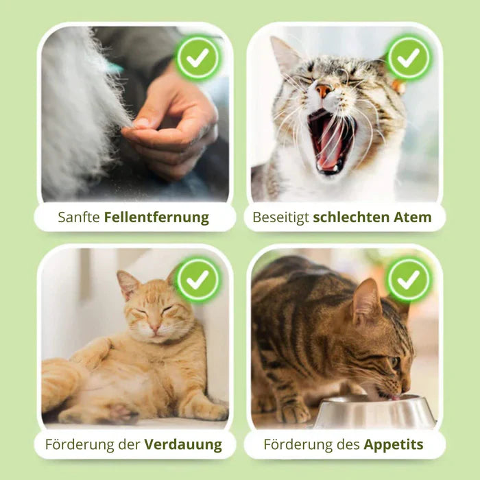 PurrJoy™ Katzen-Beißsticks für mehr Wohlbefinden