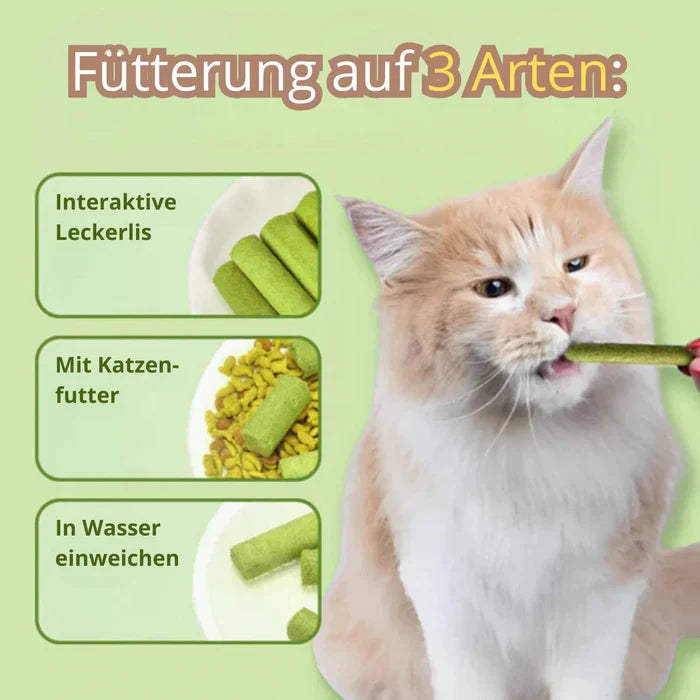 PurrJoy™ Katzen-Beißsticks für mehr Wohlbefinden