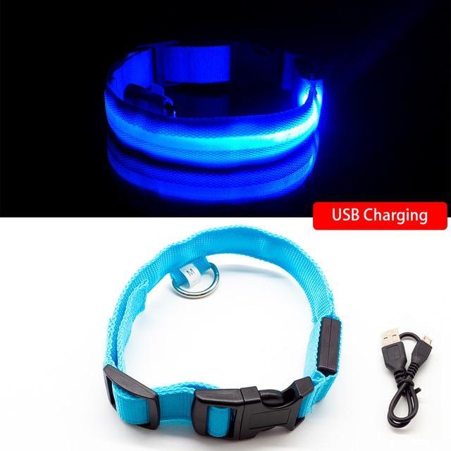 SafeGlow™ Hundehalsband für angstfreie Nachtspaziergänge